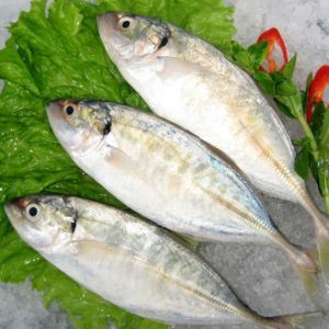 Cá bạc má - Sài Thanh Food - Công TY TNHH TM DV Sản Xuất Sài Thanh